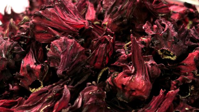 Ilustrasi bunga Rosella