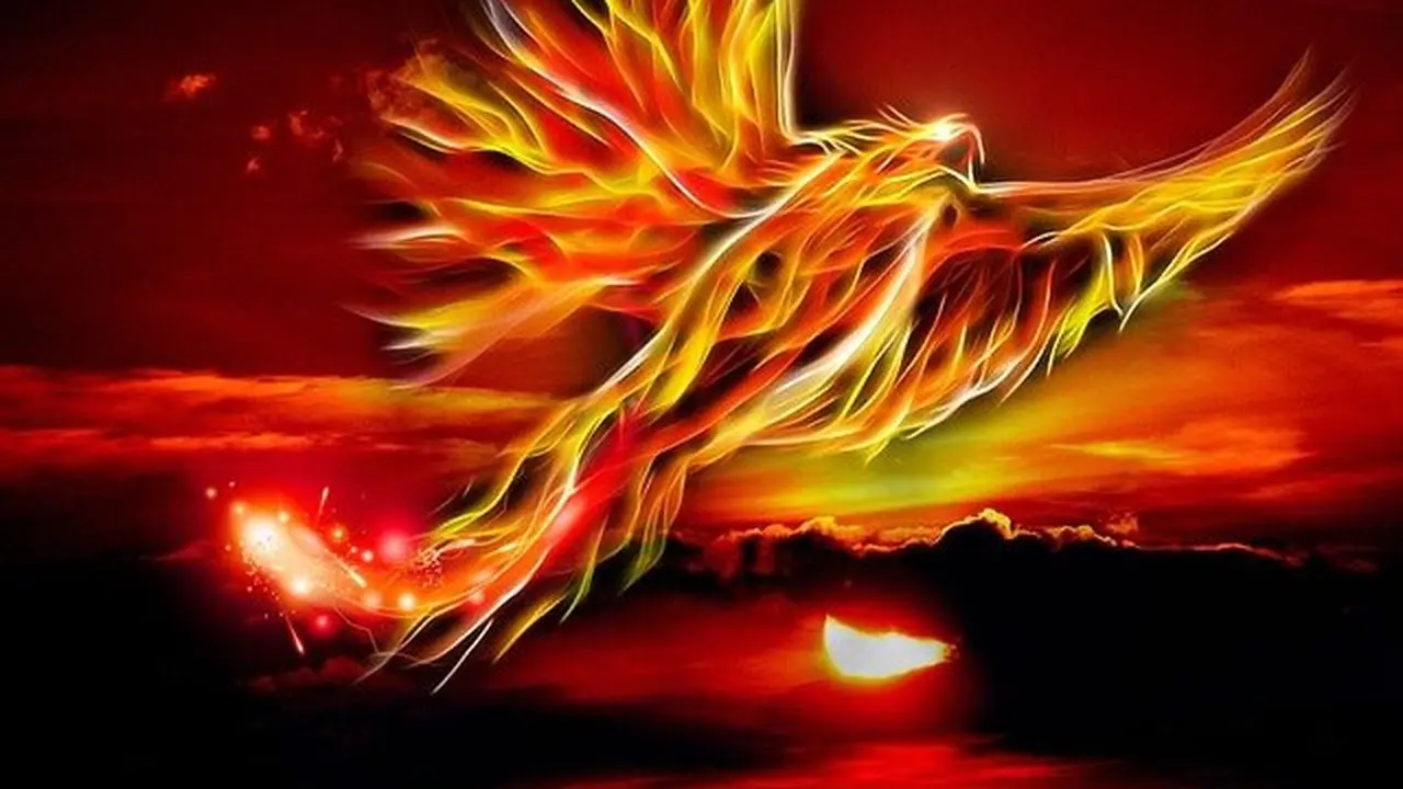 Ilustrasi Burung Phoenix