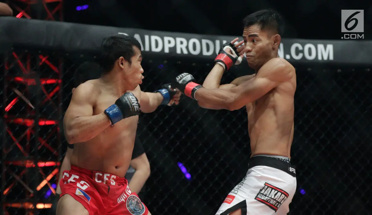 Petarung Indonesia, Stefer Rahardian, saat melawan petarung Filipina, Robin Catalan, pada laga ONE Championship di Istora Senayan, Sabtu (19/1). Stefer Rahardian takluk dari Robin Catalan. (Bola.com/M Iqbal Ichsan)