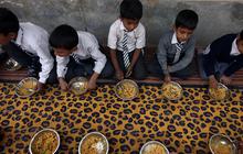 100 Siswa Ini Sakit Setelah Menu Makan Siang Gratis di Sekolah Berisi Bangkai Ular, Picu Demo Warga Besar-Besaran