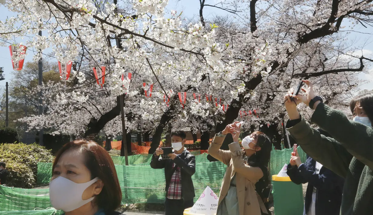 Orang-orang yang memakai masker mengambil foto bunga sakura di Tokyo, Selasa (23/3/2021). Mendekati musim semi dan mekarnya bunga sakura, banyak pemerintah daerah yang terus meminta warganya untuk tidak mengadakan pesta melihat bunga sakura (hanami). (AP Photo/Koji Sasahara)