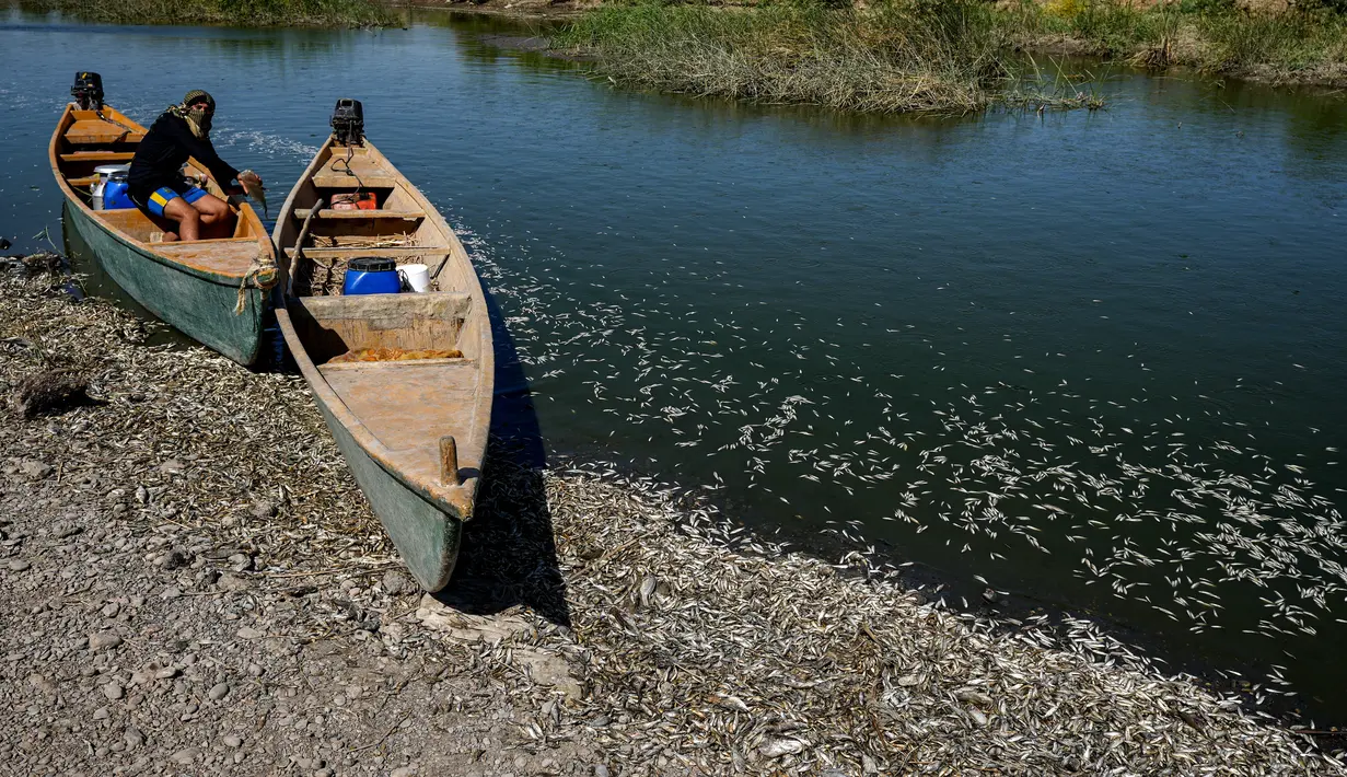 Sungai Amshan merupakan rumah bagi sembilan spesies ikan, yang semuanya kini menghadapi situasi yang mengerikan. (Asaad NIAZI / AFP)
