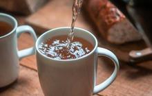 Minuman Kaya Antioksidan yang Wajib Dicoba, Bantu Turunkan Risiko Kanker