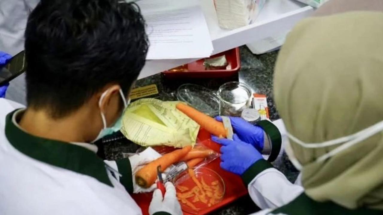 Karantina dan BBPOM Perkuat Keamanan Sumber Daya Hayati Kalsel Melalui Peningkatan Kompetensi