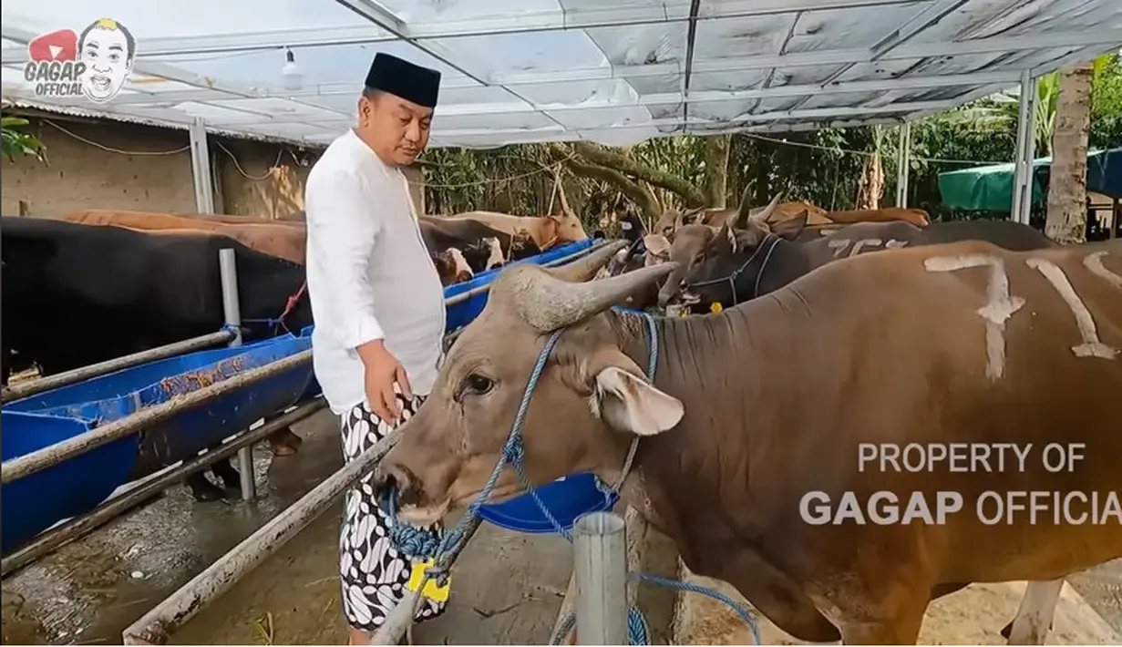 Setelah menghilang dari layar kaca, pria kocak dengan gaya bicaranya terbata-bata itu membuat usaha ternak. Azis menjual hewan kurban, baik sapi maupun kambing domba. [Youtube/Gagap Official]