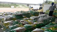 Harga Minyakita Tembus Rp 16.700 per Liter Jelang Nataru