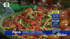 Fokus edisi (08/1) menyajikan berita-berita terkini di antaranya, Kebakaran Toko, Tiga Tewas, Cabai Mahal, Pengusaha Rumah Makan Menjerit, Telaga Biru Situ Cicerem.