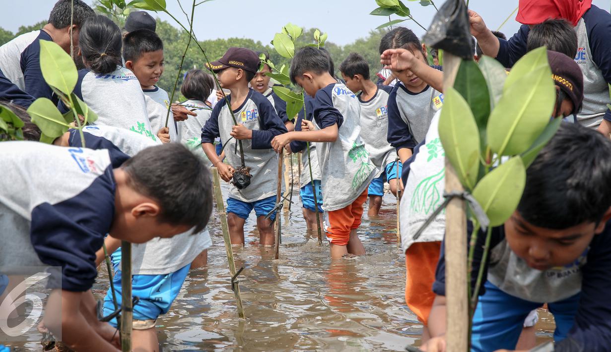Suasana saat penanaman bibit mangrove di Pesisir Pantai Muara Karang, Jakarta, Kamis (29/10). 5.000 bibit baru ditanam untuk memperkuat ekosistem yang telah dibangun dan memperbesar manfaat terhadap masyarakat. (Liputan6.com/Faizal Fanani)