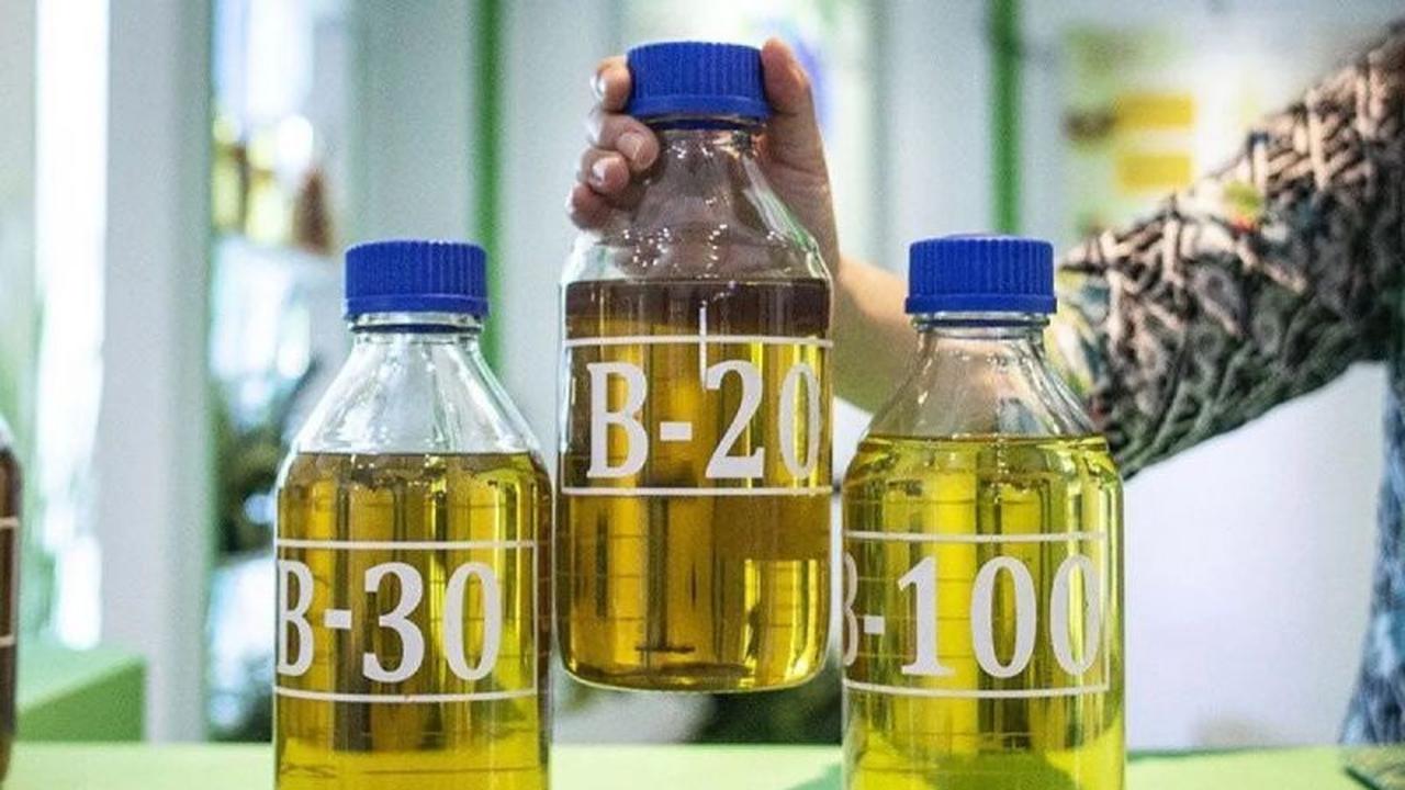 Angka Fantastis! Konsumsi Biodiesel Domestik RI Diproyeksi Capai 15,6 Juta Kiloliter pada 2025