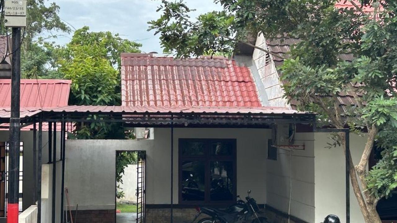 Terungkap! 8 Laporan Konflik Kera Ekor Panjang Masuk Pemukiman Guncang Batam di 2025