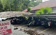 Terungkap! 5 Lokasi Pohon Tumbang Terparah di Kampus Unej Akibat Angin Kencang, Akses Jalan Sempat Lumpuh