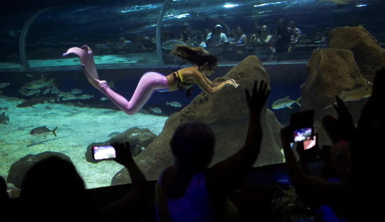 Sejumlah pengunjung melihat aksi mahasiswi biologi laut Isabela Cardoso berenang seperti putri duyung memprotes bahaya pencemaran laut dalam kehidupan laut di Rio de Janeiro di AquaRio, Brasil (14/1). (AFP Photo/Mauro Pimentel)