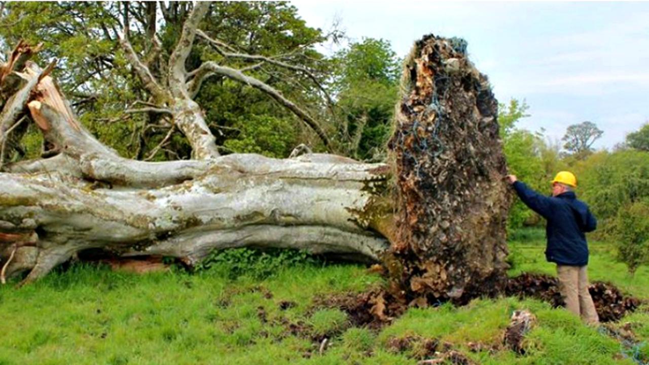 Bangkit dari Kubur Setelah 1000 Tahun