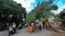 Pengendara motor melewati pohon yang hampir tumbang dan melintang di Jalan Raya Pondok Cabe, Tangerang Selatan, Banten, Sabtu (21/1/2023). Pohon ceri tersebut hampir tumbang awalnya disebabkan adanya perbaikan kabel telekomunikasi yang ditinggalkan begitu saja oleh teknisi. (merdeka.com/Arie Basuki)