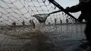 Nelayan memindahkan ratusan ikan mas yang tertangkap jala saat tradisi panen ikan secara tradisional di dekat desa Mazelov, Republik Ceko, 15 November 2018. Tradisi panen ikan mas ini biasa dilakukan tahunan menjelang musim Natal. (AP/Petr David Josek)