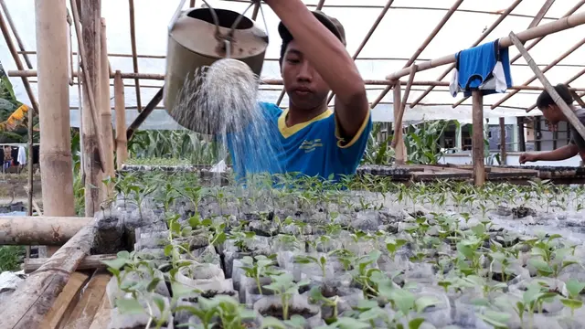 Santri di Pesantren rubat Mbalong Ell Firdaus, Cilacap menyirami benih sayuran. Panennya untuk mencukupi kebutuhan sayuran santri. (Foto: Liputan6.com/Muhamad Ridlo)