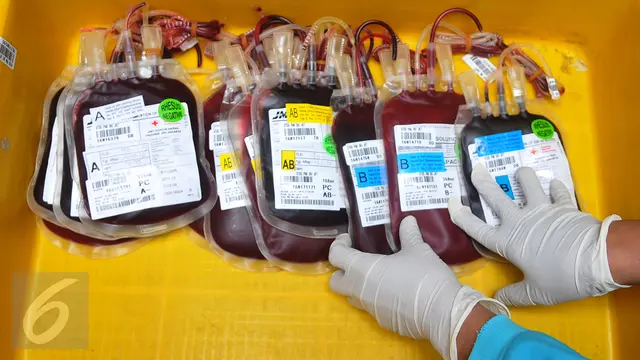 20160128-Antisipasi DBD, PMI Antisipasi Kenaikan Permintaan Darah-Jakart