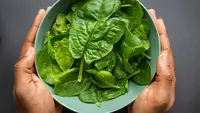 14 Sayur yang Cocok Sistem Sumbu, Metode Hidroponik Mudah untuk Pemula