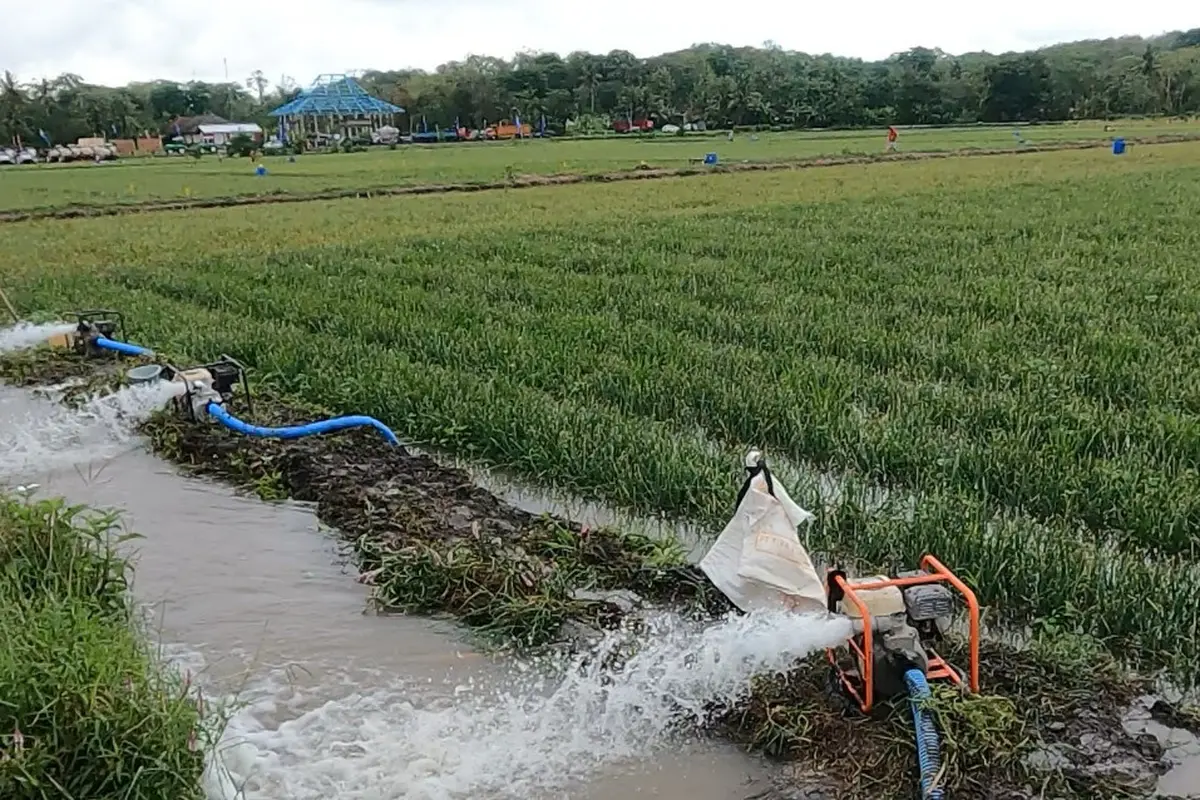 Program Pompanisasi Kementan Bantu Petani Atas Kekeringan dan Jaga Produksi Nasional