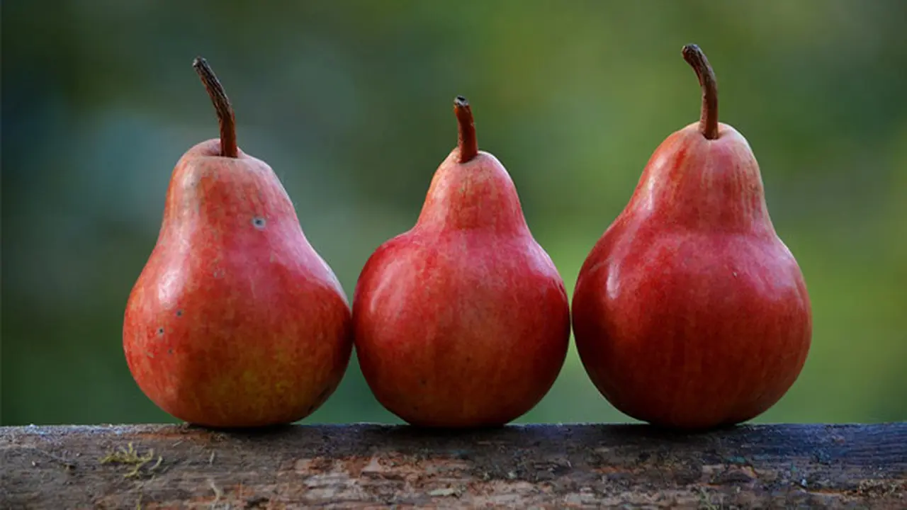 Kaya Vitamin, Pir Merah Bantu Jaga Kecantikan Kulitmu