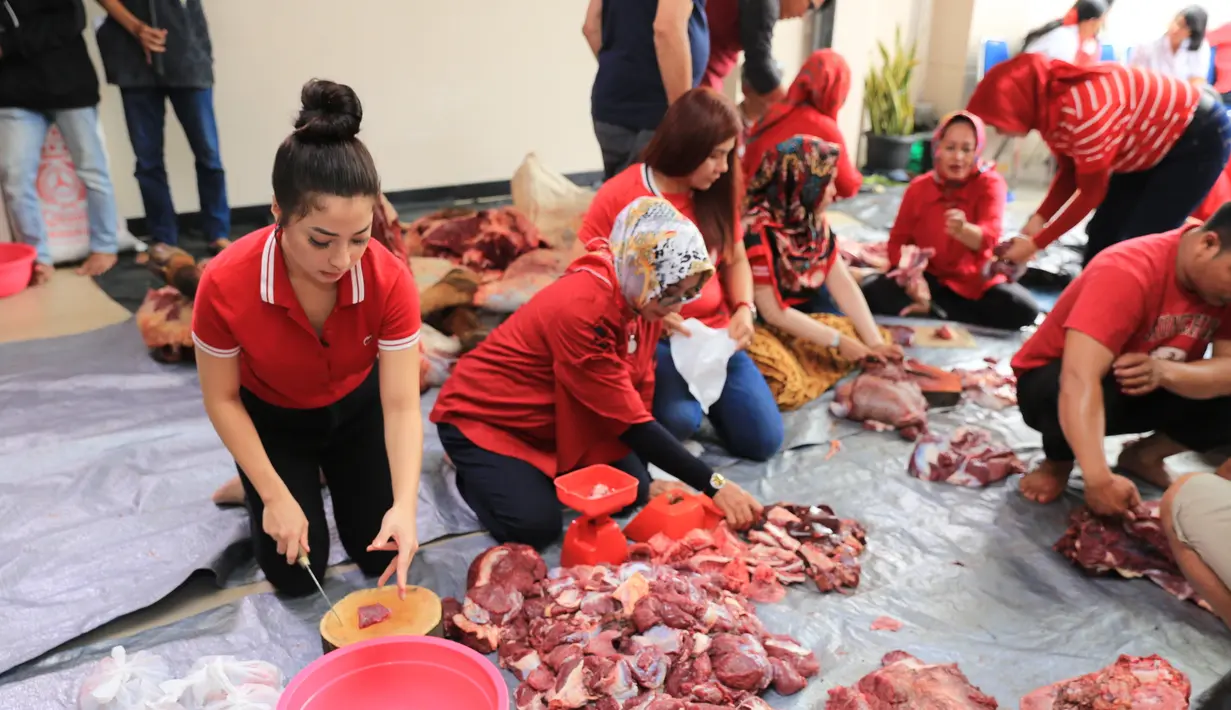 Pemeran cantik Nikita Willy tidak merasakan jijik saat ikut memotong-motong daging kurban. Pemeran 23 tahun itu juga terlihat begitu antusias. Kali ini, ia didampingi oleh kekasihnya, Indra Priawan. (Adrian Putra/Bintang.com)