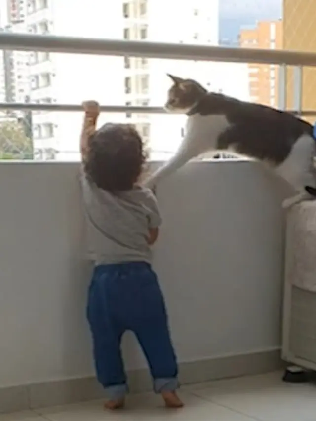 Viral Kucing Pintar Cegah Balita Memanjat Pagar Balkon Apartemen