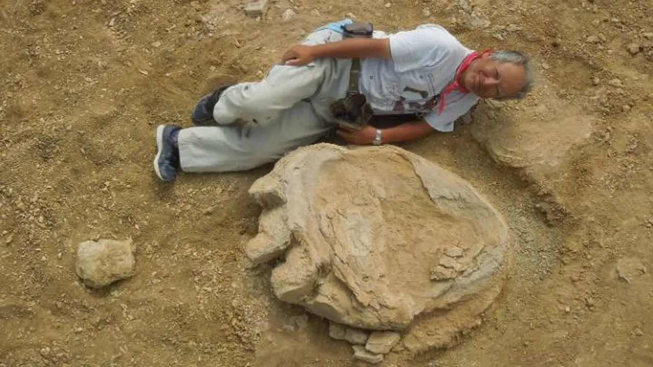 Profesor Shinobu Ishigaki berbaring di sebelah jejak kaki dinosaurus di Gurun Gobi 