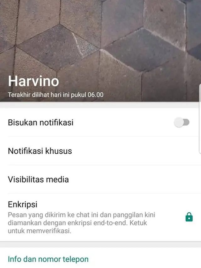 Harvino, Sosok Kopilot Lion Air JT610 Dikenal Sebagai Pribadi yang Baik