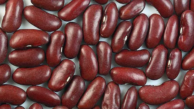 Jangan Makan Mentah 5 Makanan Ini