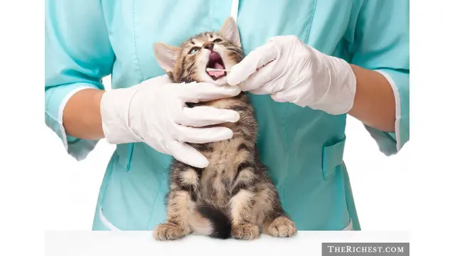 Dokter Umum, Profesi Dengan Tingkat Bunuh Diri Tertinggi