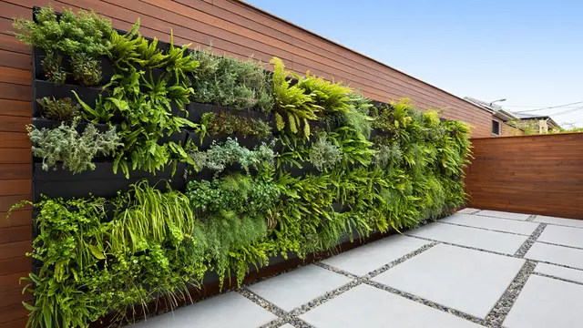 Tips Agar Halaman Rumah Terasa Teduh