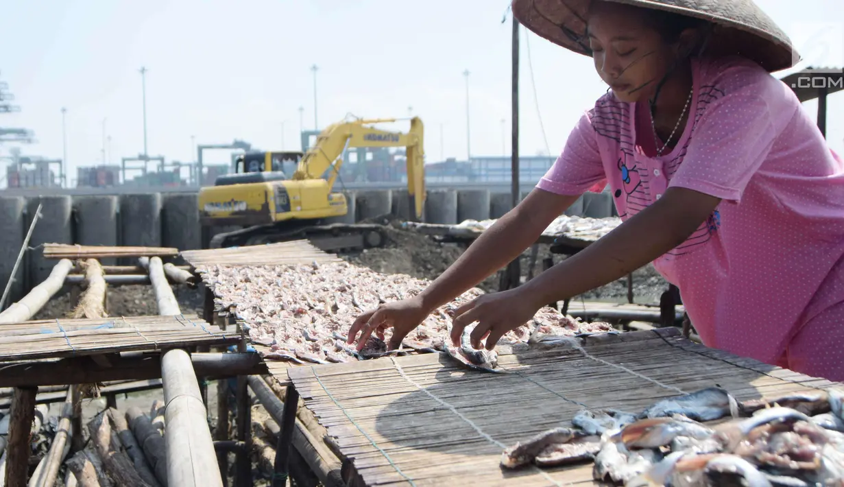 Seorang ibu tengah menjemur ikan asin di kawasan Cilincing, Jakarta Utara, Rabu (9/5). Produksi ikan asin di kawasan tersebut untuk memenuhi kebutuhan di wilayah Jabodetabek. (Liputan6.com/Angga Yuniar)