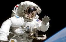 Cara Kerja Dokter AI Buatan NASA dan Google untuk Astronot Sakit di Luar Angkasa