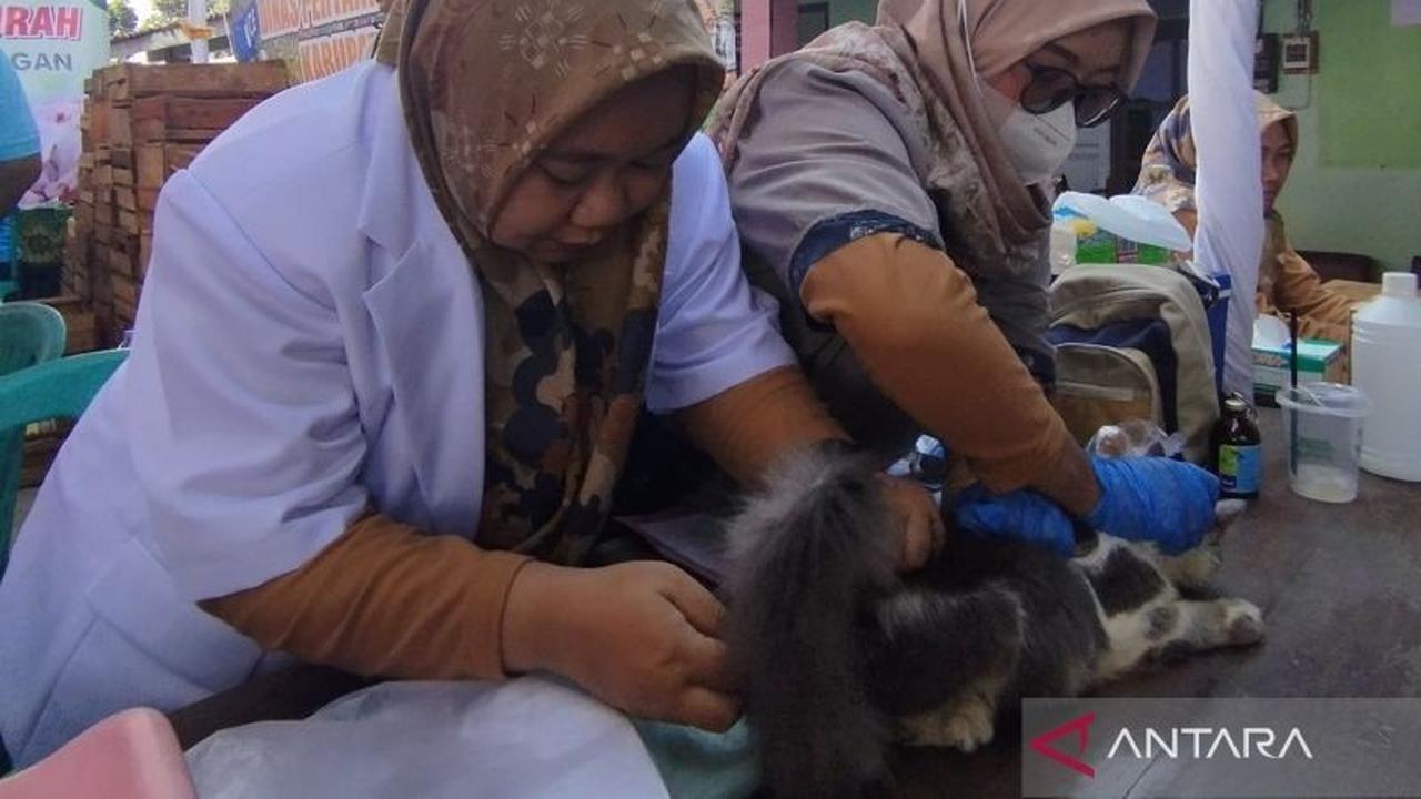 Pemkab Demak Intensifkan Vaksinasi Rabies Gratis untuk Hewan Peliharaan, Jaga Wilayah Bebas Rabies
