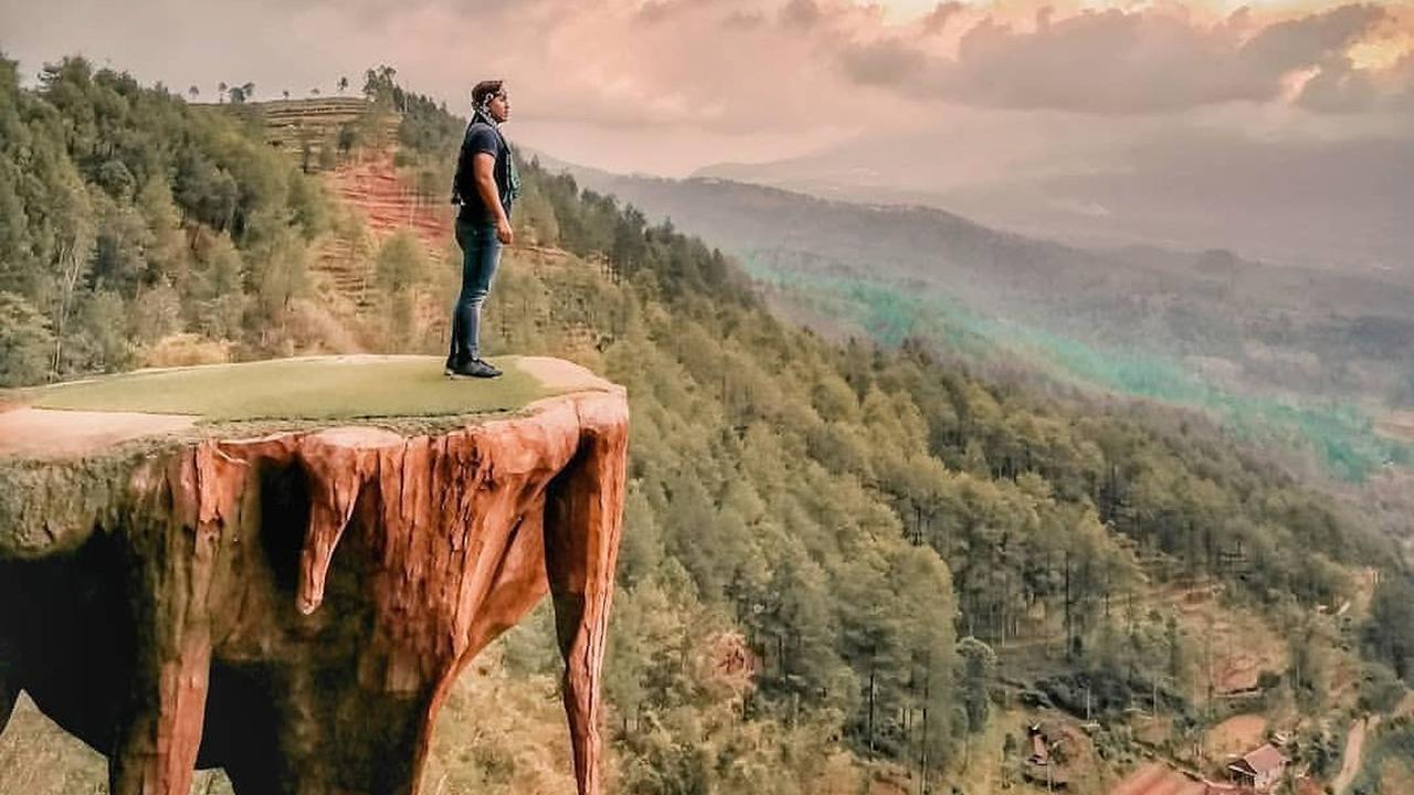 8. Goa Pinus: Keindahan Hutan Pinus Kota Batu
