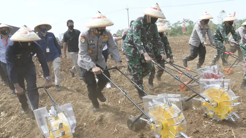 Alumni Akabri 89 TNI-Polri Kompak Tanam Jagung untuk Program Ketahanan Pangan