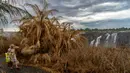 Turis berjalan di sepanjang jalan setapak di hutan dekat Air Terjun Victoria di Zimbabwe (13/11/2019). Serangkaian gelombang panas telah mengeringkan sebagian besar vegetasi di sekitar situs warisan dunia UNESCO berukuran 108 meter dan lebar hampir 2 km dalam kekeringan parah. (AFP/Zinyange Auntony)