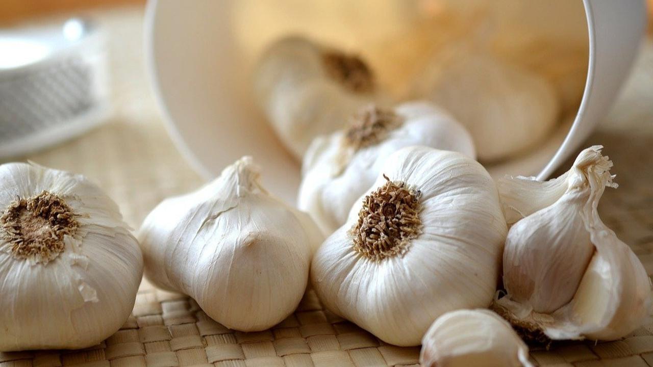 Bawang Putih Bisa Turunkan Gula Darah? Simak Penjelasannya Bagi Kesehatan
