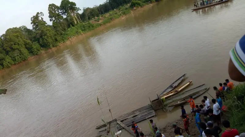 Serangan Buaya di Jambi