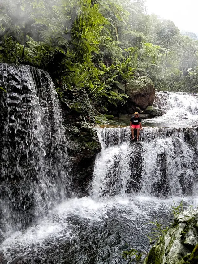 Water Tracking