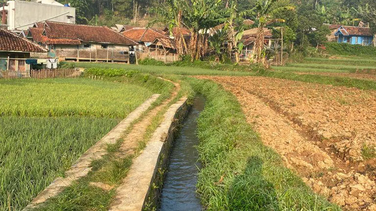 Irigasi Pertanian di Subang.