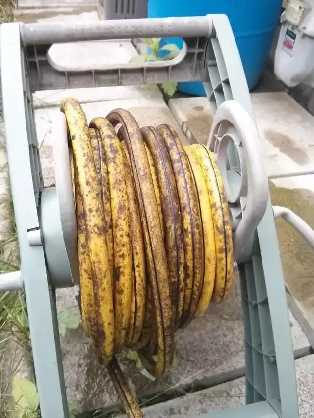 6 Potret Benda Mirip Buah Ini Bikin Melongo, Perlu Teliti