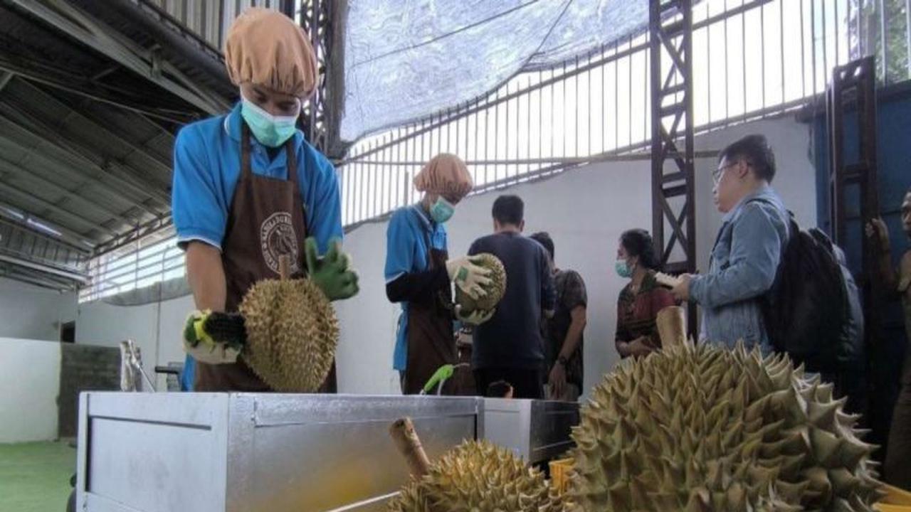 Fantastis! Target Arus Kas Rp1 Triliun dari Ekspor Durian Parigi Moutong, Kadin Dorong Regulasi Bersama