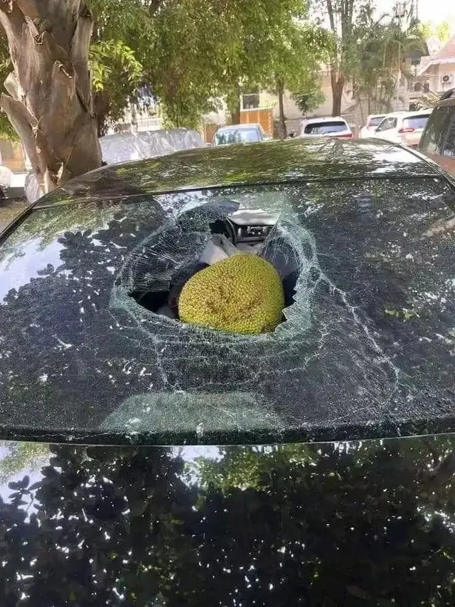6 Momen Apes Mobil Tertimpa Buah saat Sedang Diparkir Ini Bikin Elus Dada