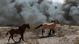 Warga membawa kudanya dengan latar belakang kepulan asap akibat kebakaran di pabrik daur ulang sampah di Ciudad Juarez, Meksiko (2/5). (AP/Christian Torres)