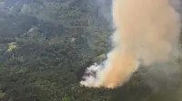 Potret kebakaran hutan di Riau (Liputan6.com / M.Syukur)