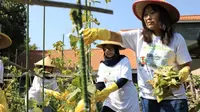 Program BRInita Sudah Berjalan di 21 Lokasi dan Dikelola oleh Kelompok Usaha Wanita