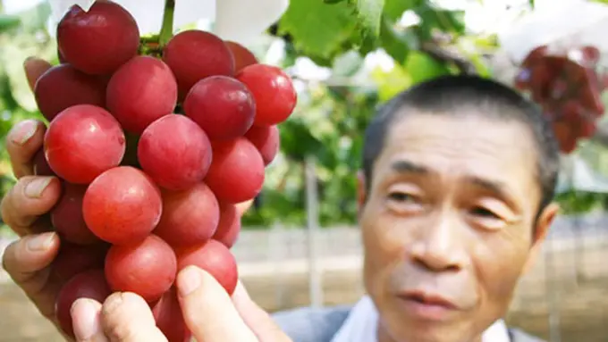 Photo: Copyright greatideas.people.com