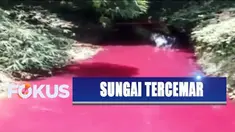 Bukan hanya merah muda, warna sungai yang berada di tengah desa tersebut akan berubah sesuai limbah pewarna tekstil yang dibuang.