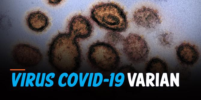 Liputan 6 Update: Begini Pengertian Virus Covid-19 Varian Delta Plus